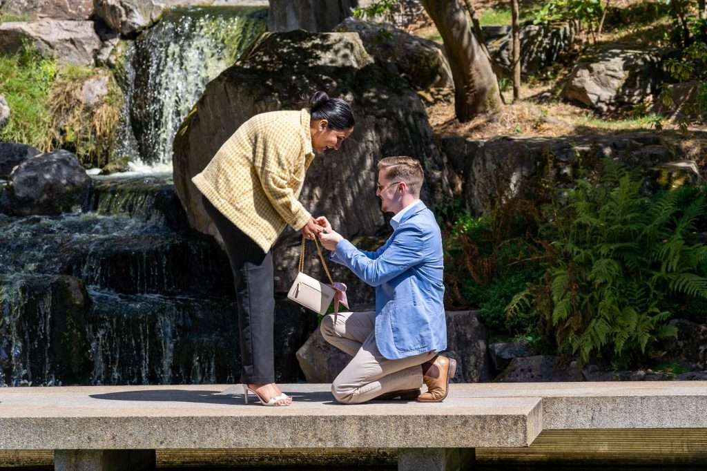 Proposal Photography - Matthew Ellacott Photography