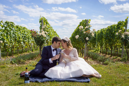 Vineyard wedding photos