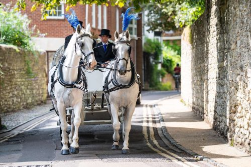 Wedding Horse and Carriage